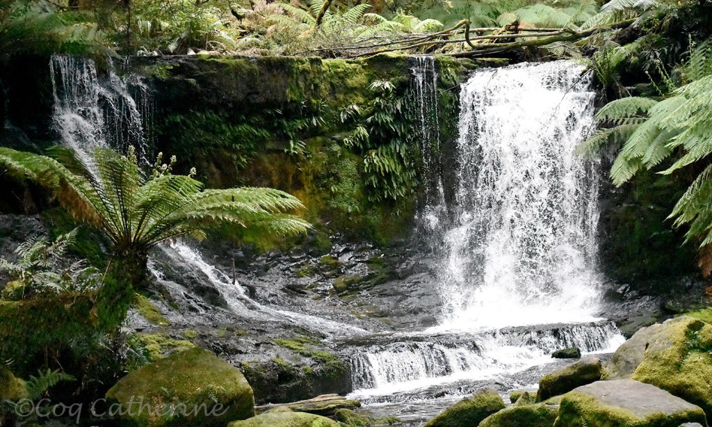 cascade de horseshoe Falls - Tasmanie
