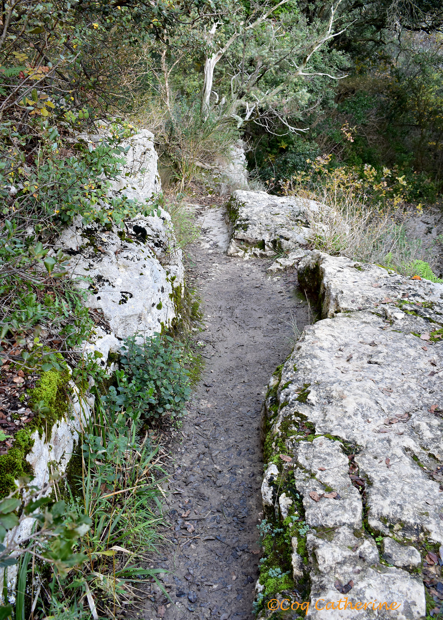 le canal en ruines de l'ancien moulin dans les gorges de la Veroncle