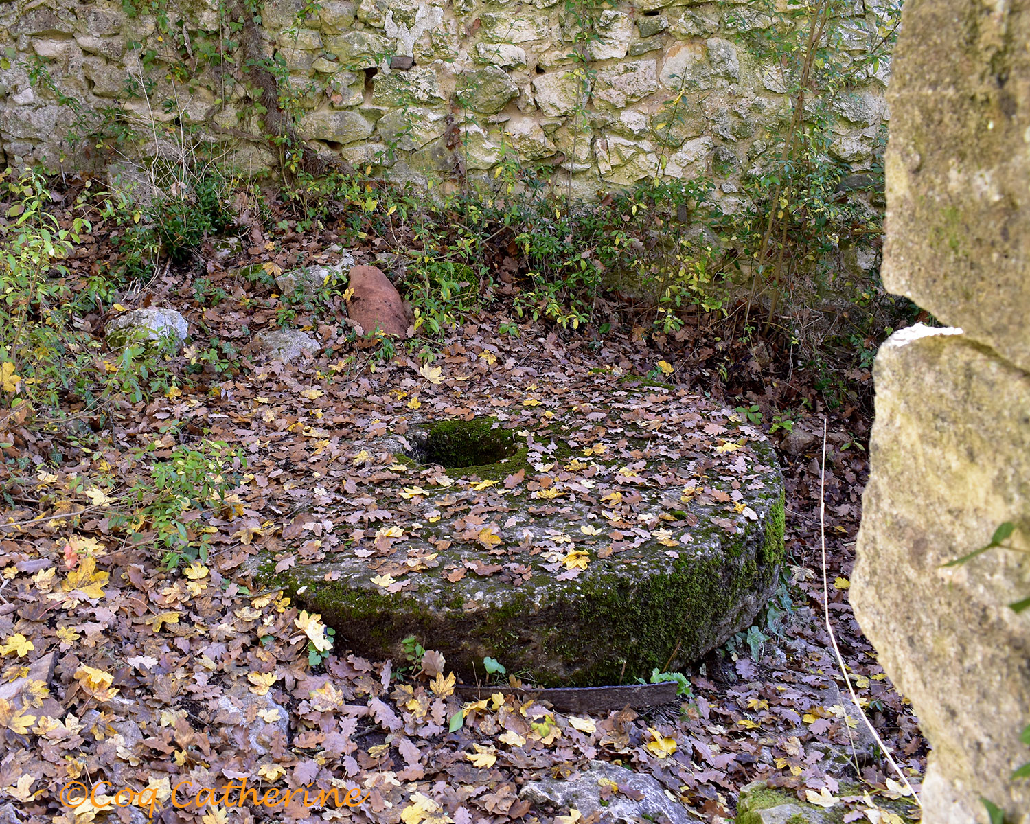 pierre de l'ancien moulin dans les gorges de la Veroncle